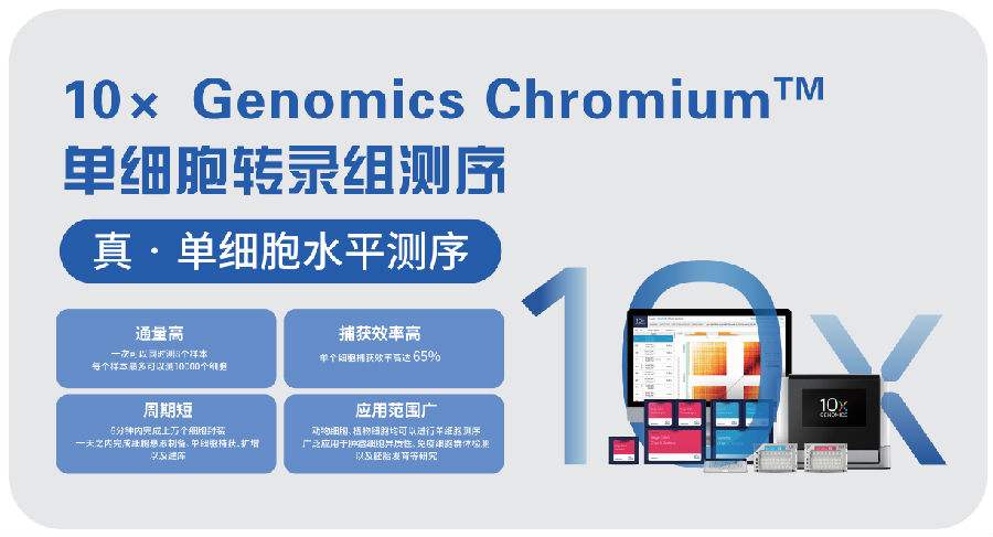 單細胞測序儀_大規模單細胞測序時代開啟